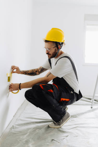 Best Water-Damaged Drywall Repair  in Ovid, MI